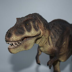 History T.rex Tyrannosaurus