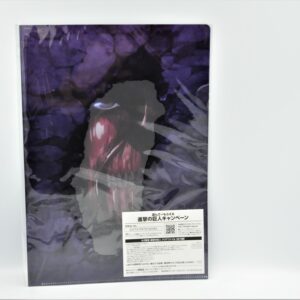 Attack On Titans - Tytan - Teczka