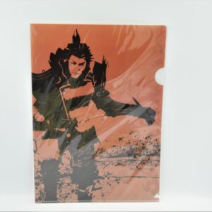 Sengoku Basara - Teczka