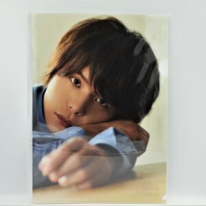 TV VOICE STARS  - Teczka