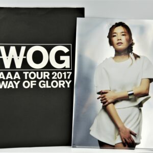 Attack All Around Way Of Glory 2017 - Teczka