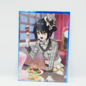 The wizard's promise - Teczka A5