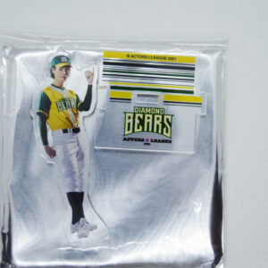 Diamond Bears Actors League  - Figurka Akrylowa