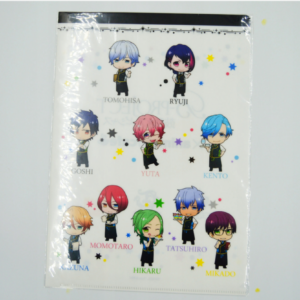 B Project - Teczka A4