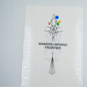 Mamoru Miyano  - Teczka A4