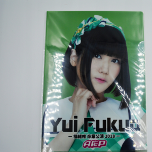 Yui Fukuo - Teczka A4