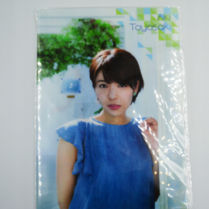 Aki Toyosaki - Teczka A4