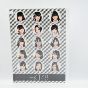 AKB48  - Teczka A4