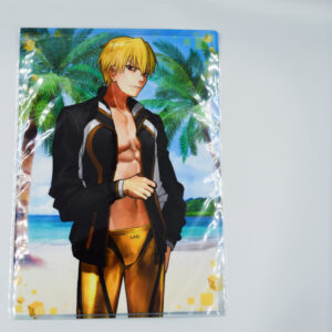 Fate Grand Order - Teczka A4