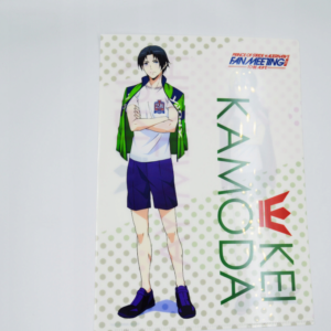 Prince of Stride: Alternative - Yuri Himemiya - Kei Kamoda  - Teczka A4