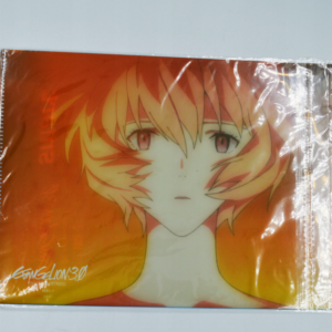 Neon Genesis Evangelion - Rei Ayanami -  Teczka B5