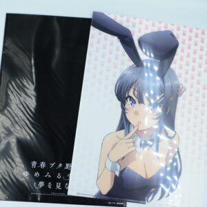 Rascal Does Not Dream of Bunny Girl Senpai - Sakurajima Mai - Teczka A4