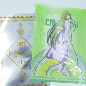 Fate Grand Order  x COCO - Teczka A4