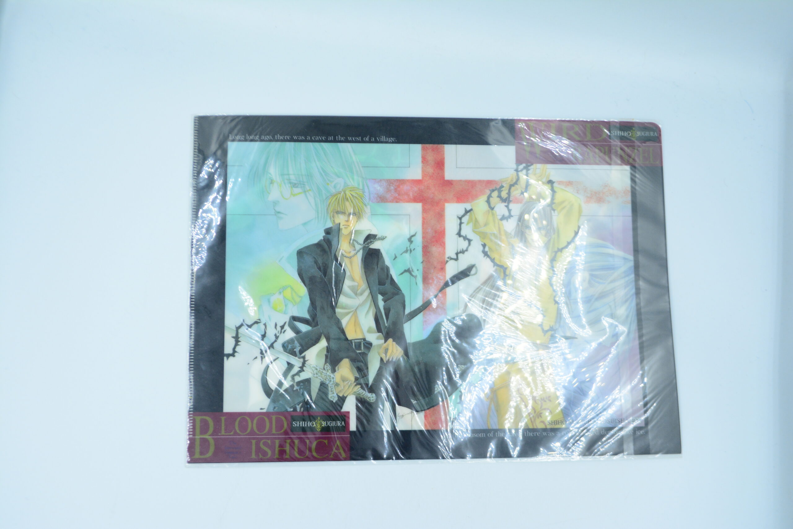 Koori no Mamono no Monogatari - Teczka A4 - Kokoni.pl