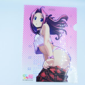 Nijiiro Zakura - Teczka A4