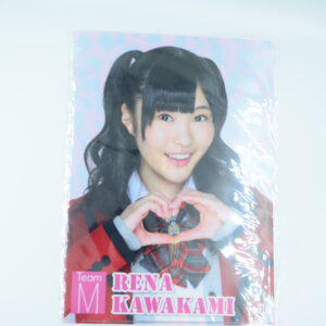 Rena Kawakami NMB48 - Teczka A4