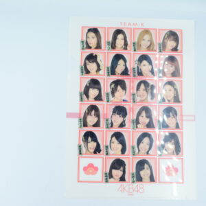 AKB48 - Teczka A4