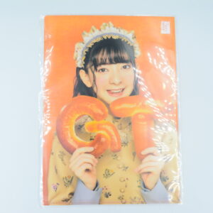 Yuka Ogino - Teczka A4