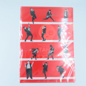 Masochistic Ono Band Live Tour 2015 What is Rock? - Teczka A4