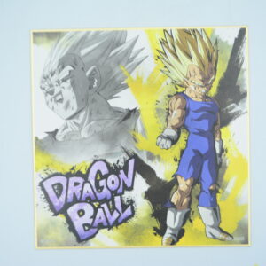 Dragon Ball - Shikishi