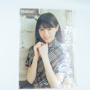 Nanase Nishino - Teczka A4