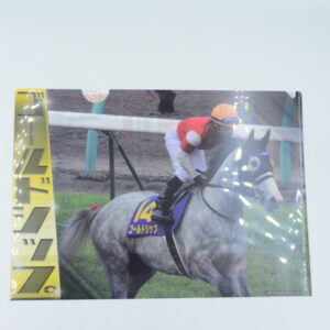 Gold Ship Japan Derby 2012 - Teczka A4