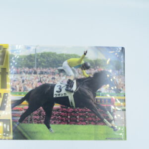 Vodka Japan Derby 2007 - Teczka A4