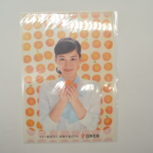 Haruka Ayase - Teczka A4
