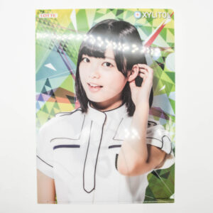 Keyakizaka46 - Teczka A4