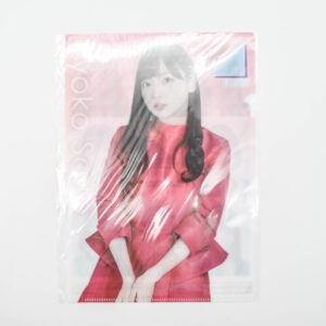 Kyoko Saito - Teczka A5