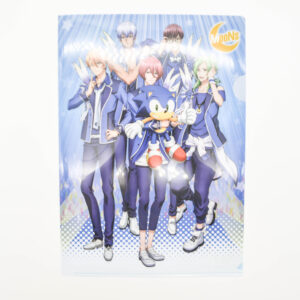 B Project x Sonic - Teczka A4