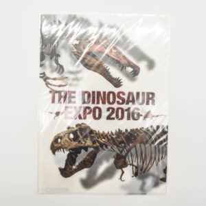 The dinosaur expo 2016 - teczka A4