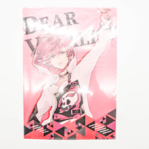 Dear Vocalist Wired - Teczka A4