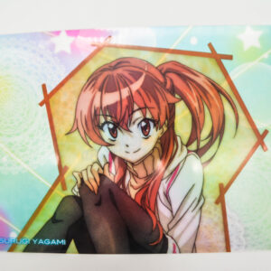 Sasami-san Ganbaranai - Teczka A4
