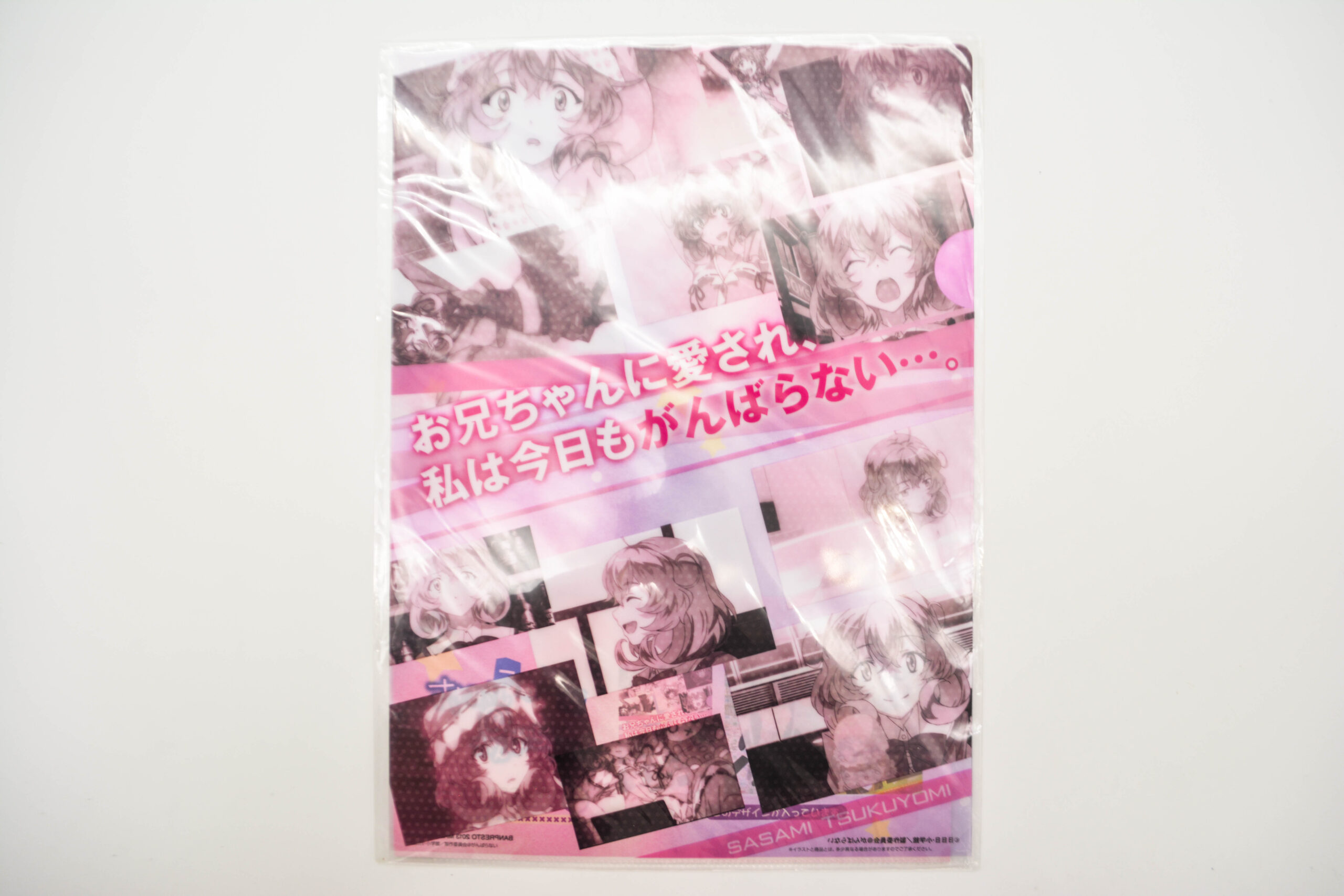 Sasami-san Ganbaranai - Teczka A4