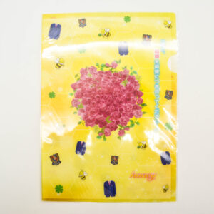 HONEY SO SWEET - Teczka A4