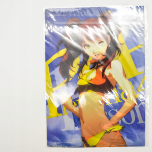 Persona 4 - Teczka A4
