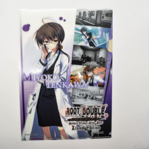 Root Double: Before Crime - Teczka a4