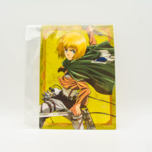 Attack On Titan - Shingeki No Kyojin - Pencil Board B5