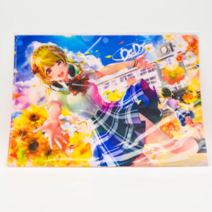 Dig Delight Direct Drive DJ - Rinku Aimoto - Teczka A4