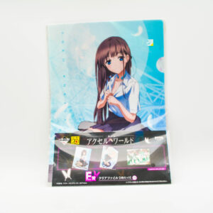 Accel World - Zestaw 3 Teczek A4