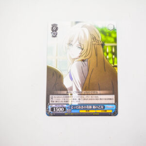 Goblin slayer - Ultimate Miracle, Sword Maiden - GBS/S63-086 C