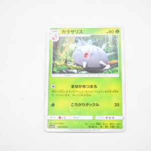 Pokemon - Silcoon - Karta Pokemon sm7b B 007/050 c