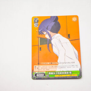 Sword Art Online: Alternative Gun Gale Online - Moe - Karta GGO/S59-022 C