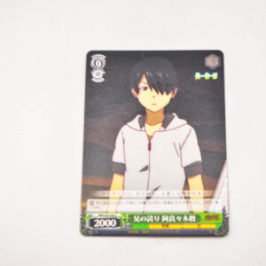 Monogatari Series - Nisemonogatari - Koyomi Araragi - Karta NM/S24-036 C