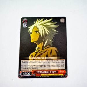 Fate/Apocrypha - Shirou Kotomine  -  APO/S53-050 C