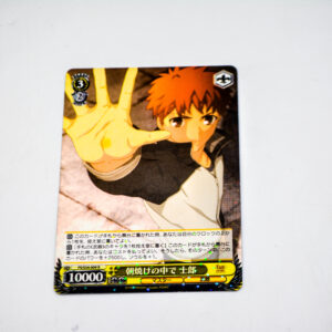 Fate/stay night Unlimited Blade Works - Shirou Emiya - FS/S34-009 R
