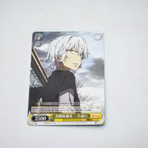 Toaru Kagaku no Railgun - Accelerator -  RG/W26-013 U