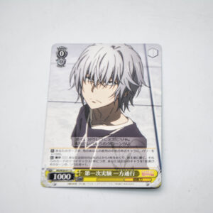 Toaru Kagaku no Railgun - Accelerator - RG/W26-011 U