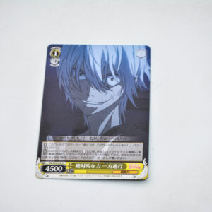 Toaru Kagaku no Railgun - Accelerator - RG/W26-006 R